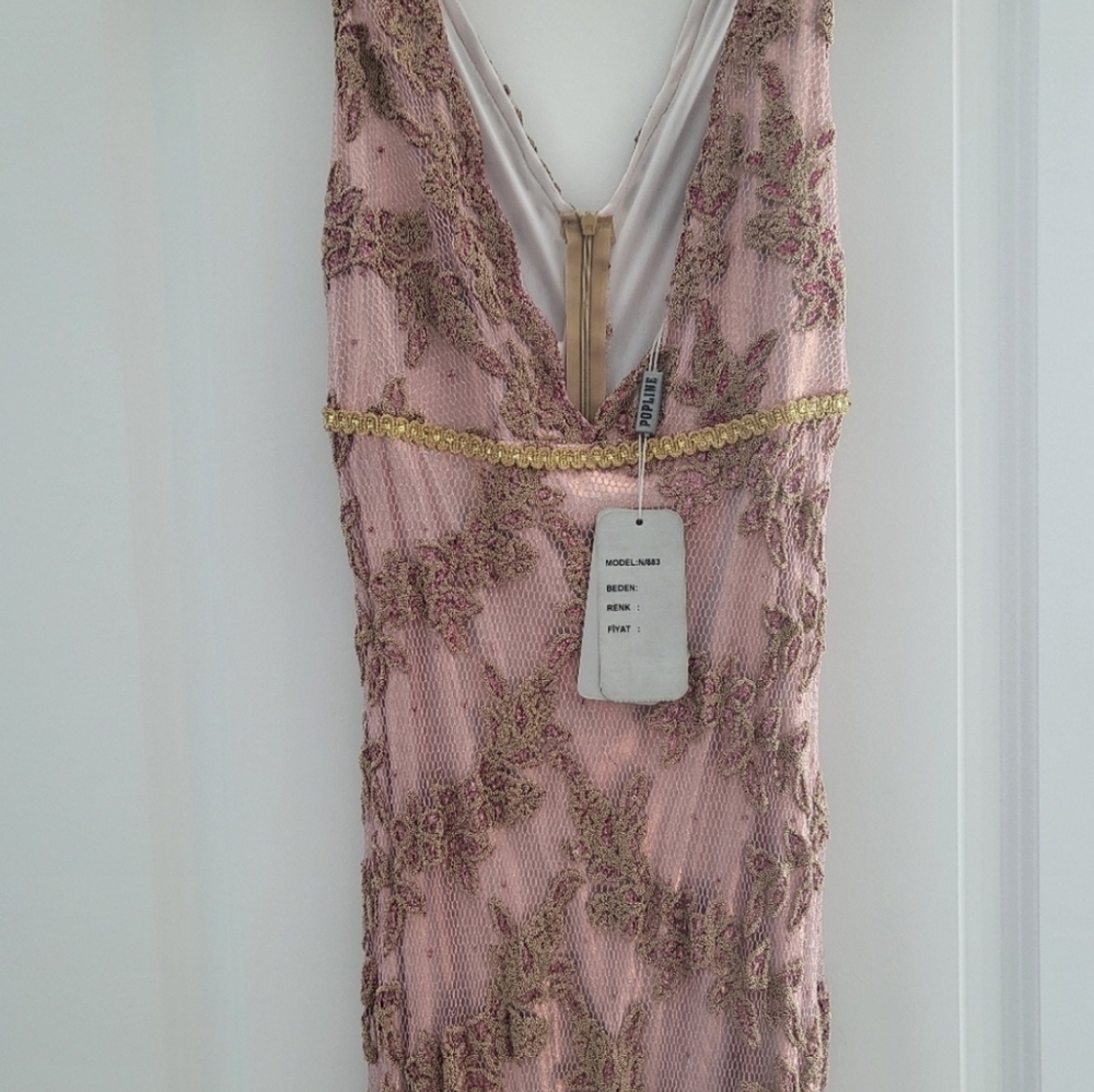Pink and Gold Embellished Dress